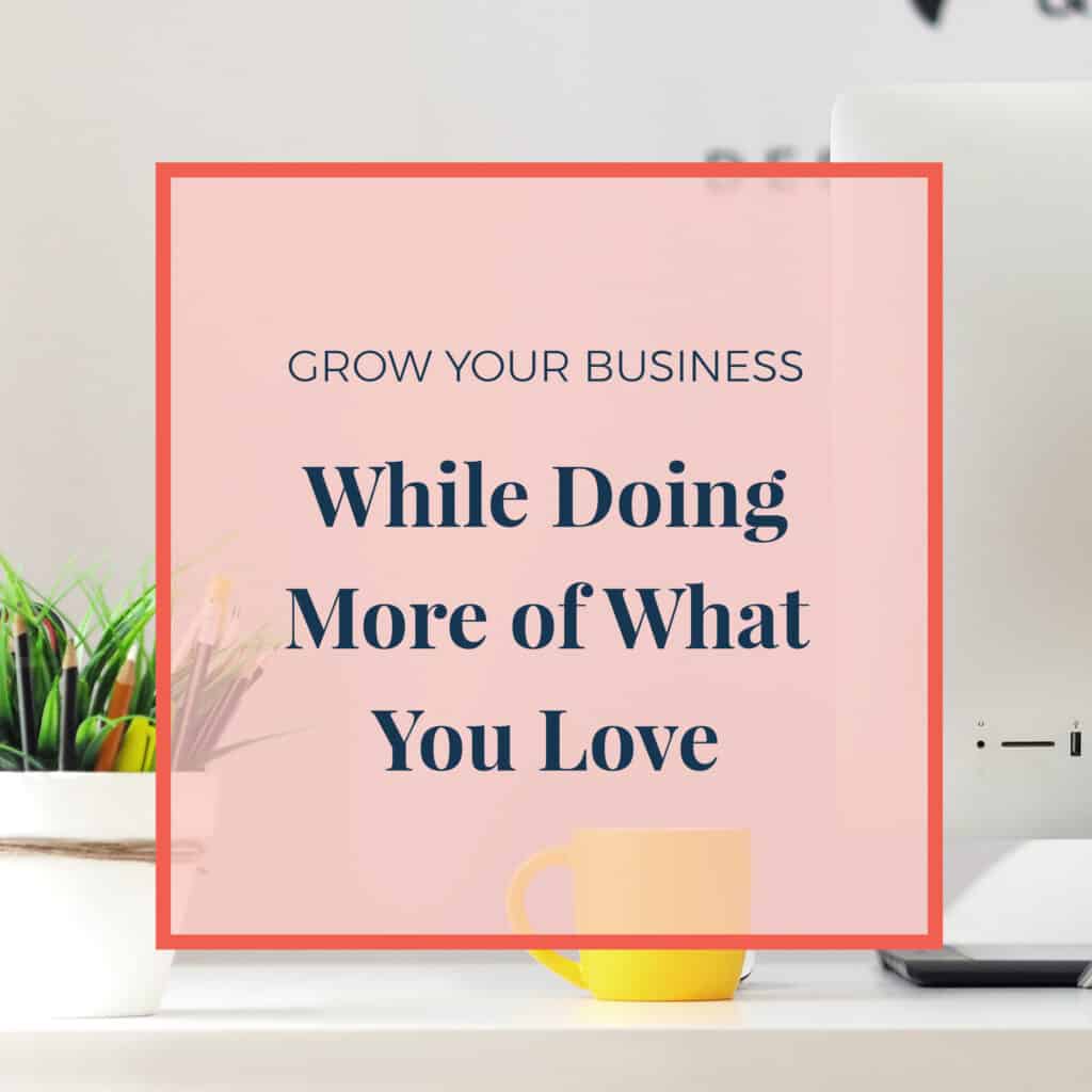 JLVAS-grow-your-business-while-doing-more-of-what-you-love