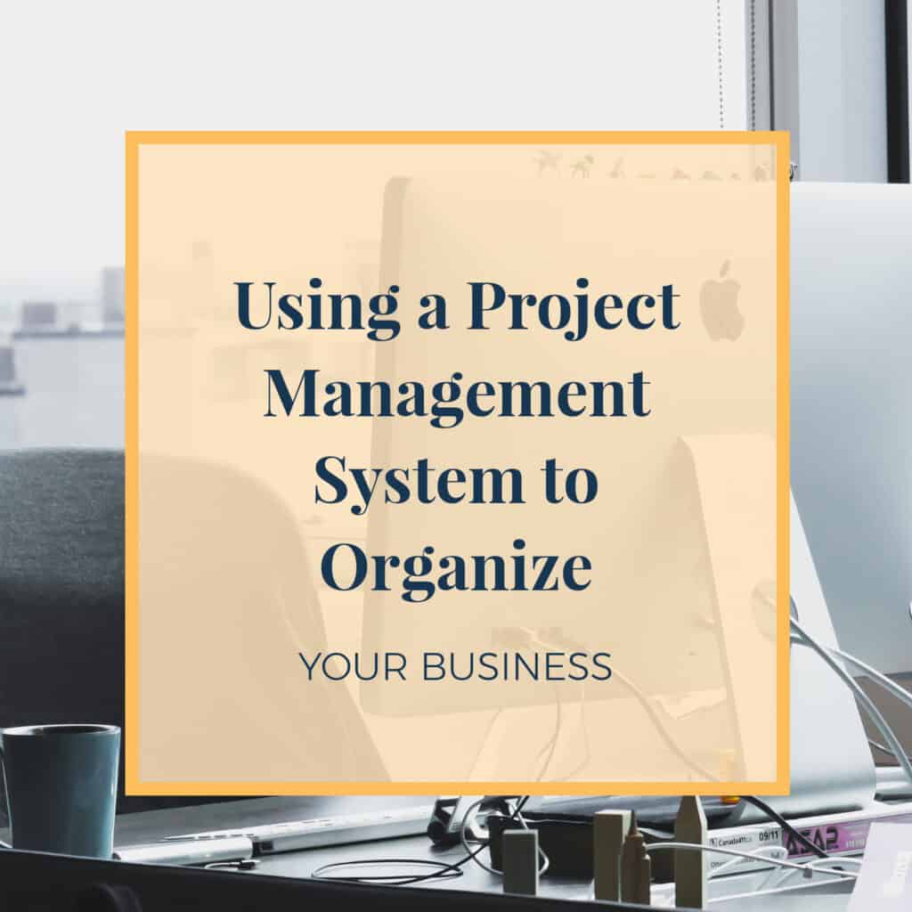 Using a project management system to organize your business