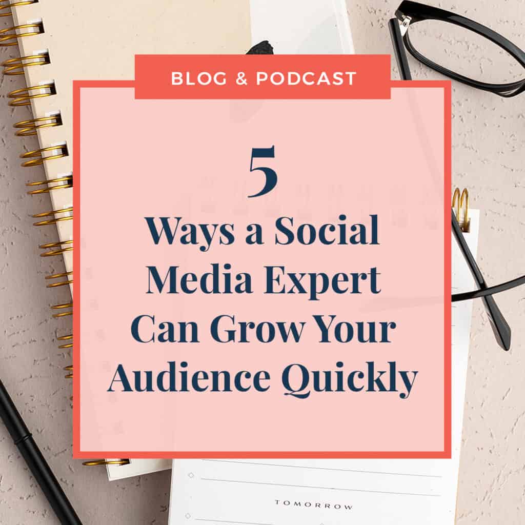 JLVAS -5 Ways a social media expert can grow audience