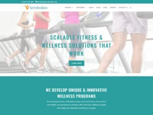 Aerbodies Website Thumbnail