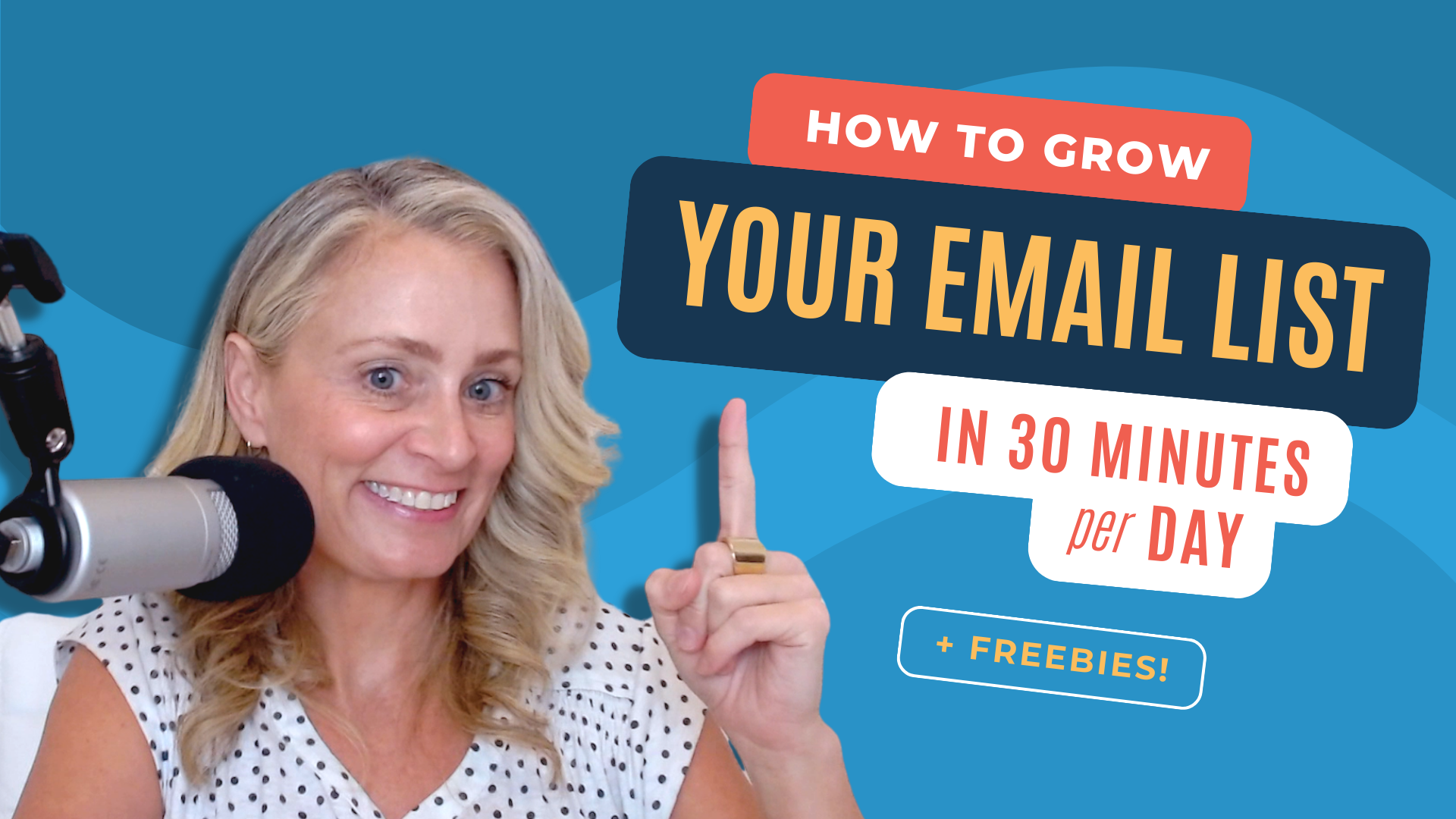 How to Grow Your Email List in 30-Minutes Per Day + Freebies